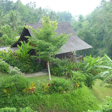 Amori Villas-2