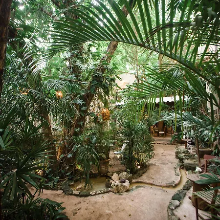 Hotel La Semilla A Member Of Design Hotels (Adults Only)-3