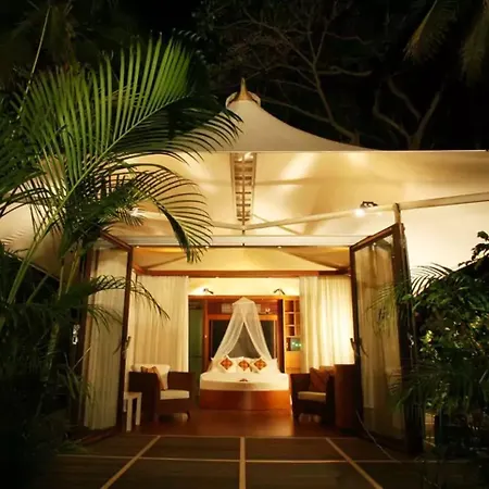 The Fiji Orchid-3