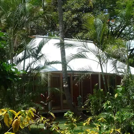 The Fiji Orchid-2
