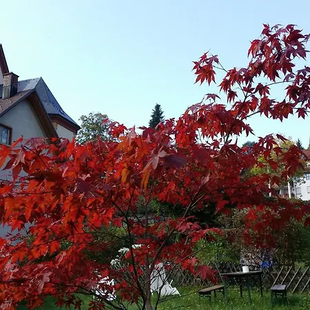 Europaeisches Gaeste- Und Seminarhaus-3
