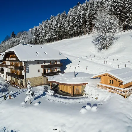 Hotel Blaue Gams ***S-2