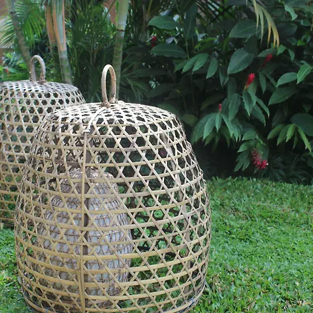 The Sankara Resort & Spa-2