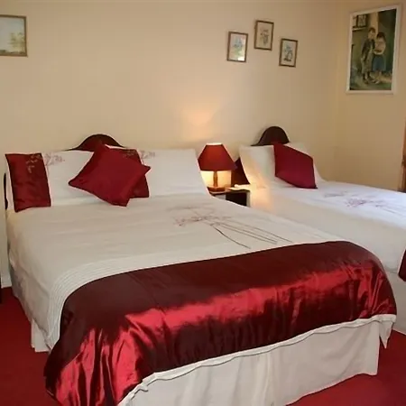 Adare House Bed & Breakfast-3