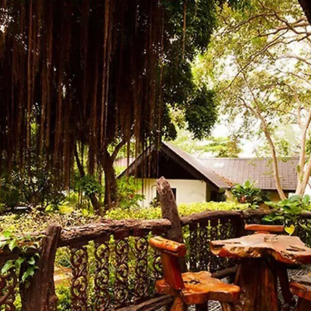 Paradise Pearl Bungalows-2