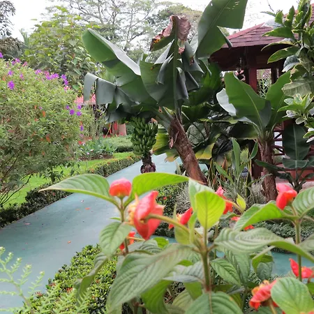 Hotel Arenal Montechiari-3