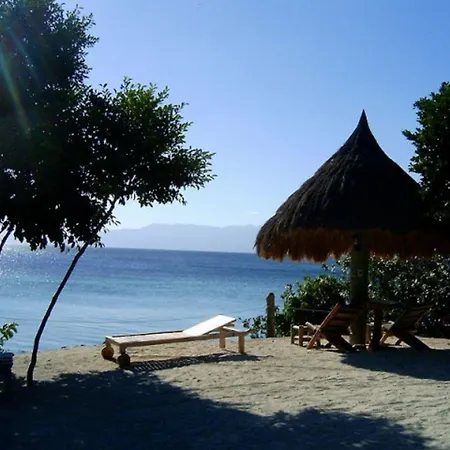 Sea Turtle House Moalboal-2