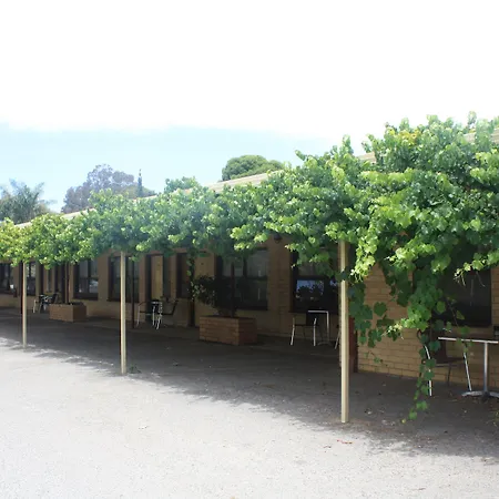 Angaston Vineyards Motel-3