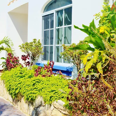 Corales Suites-2