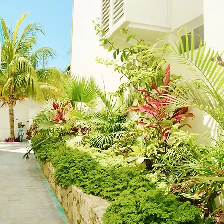 Corales Suites-3