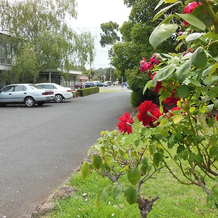 Motel Ringwood-3