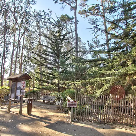 Butterfly Grove Inn-3