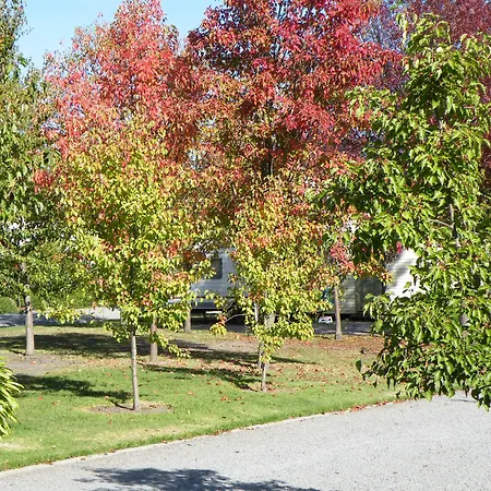 Lake Hamilton Motor Village And Caravan Park-3