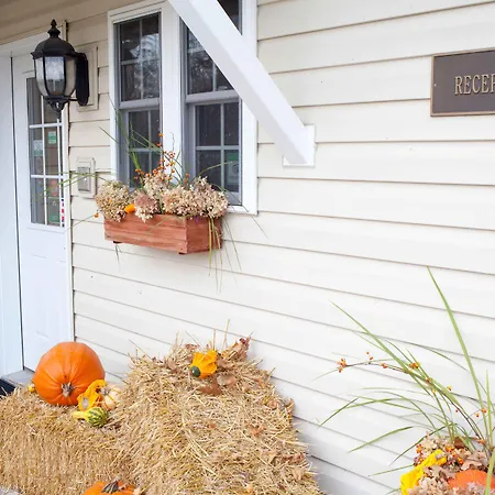 Seven Oaks Bed & Breakfast-2