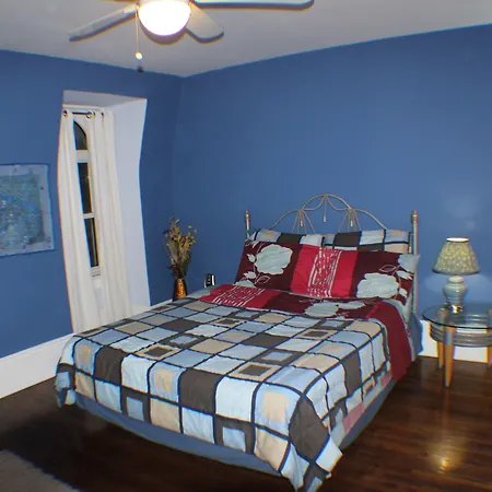 Comfy Guesthouse & Suite-2