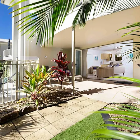Noosa River Palms-2