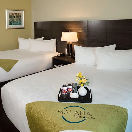 Malana Hotels & Suites-2