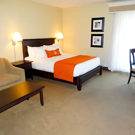Amsterdam Inn & Suites Sussex-2