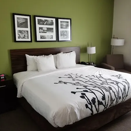 Sleep Inn & Suites Gulfport-3