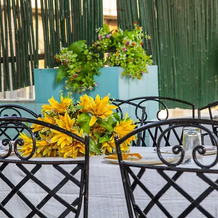 Hotel Sunshine - Karol Bagh Budget Stay At New Delhi-2