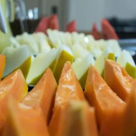 Paulista Garden Hotel-2