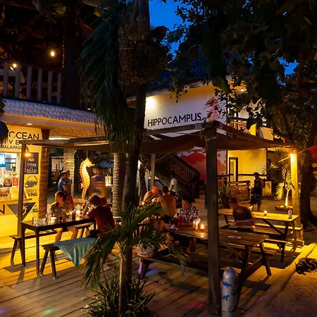 Hippocampus Beach Resort-3