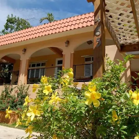 Villa Coral Guesthouse-3