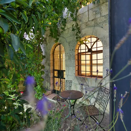 Alegra Boutique Hotel-3