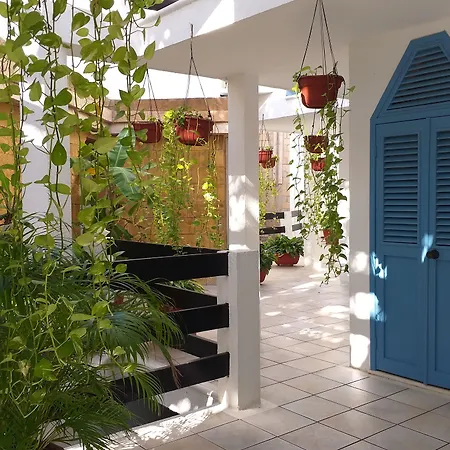 Hotel Labnah (Adults Only)-2