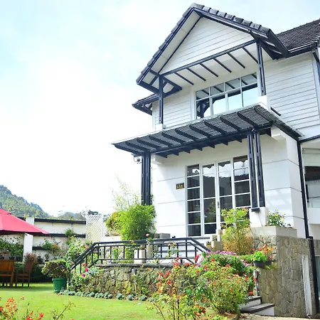 Unique Cottages-2