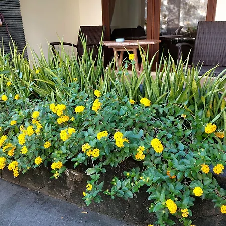 Radha Bali Hotel-2