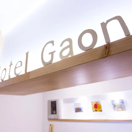Hotel Gaon Seoul Dongdaemun-2