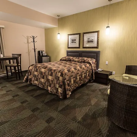 Motel Falcon-3