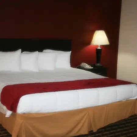 Hotel 7 Inn Vienna-3