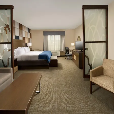 Holiday Inn Express Hotel & Suites Waco South By Ihg-3