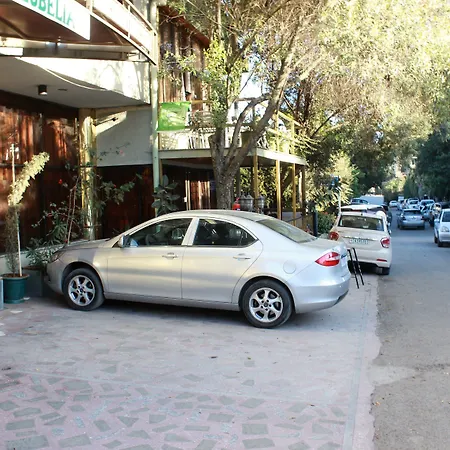Hotel Lobelia-3