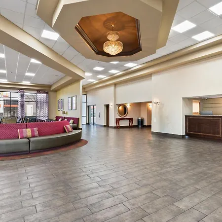 Orlando Palms-2