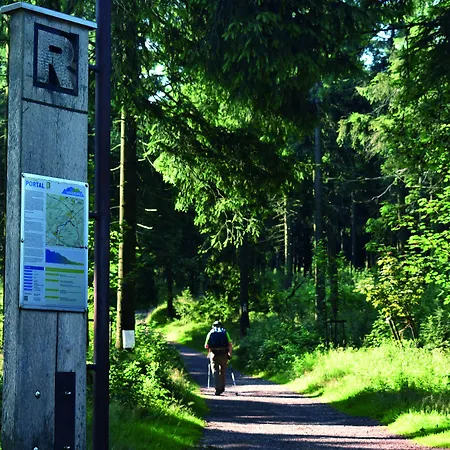 Pension Haus Saarland-3