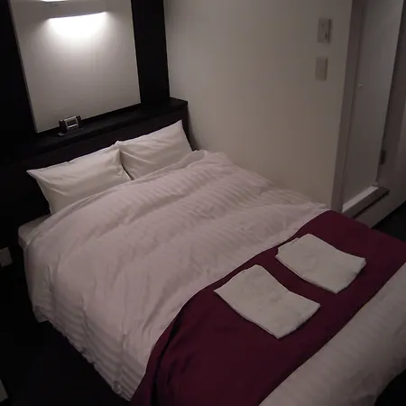 Hotel Fosse Himeji-3