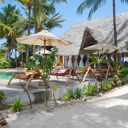 Sahari Zanzibar-2