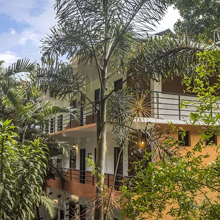 Spice Jungle Resort-2