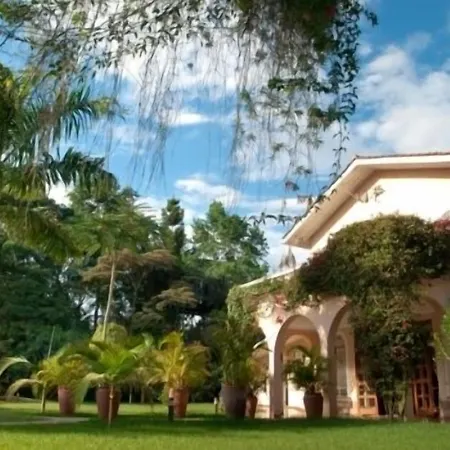 House Of Waine-3