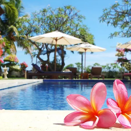 Frangipani Beach Hotel-2