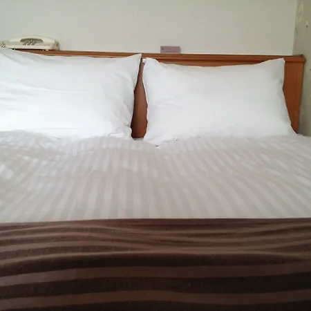 Tottori City Hotel-2
