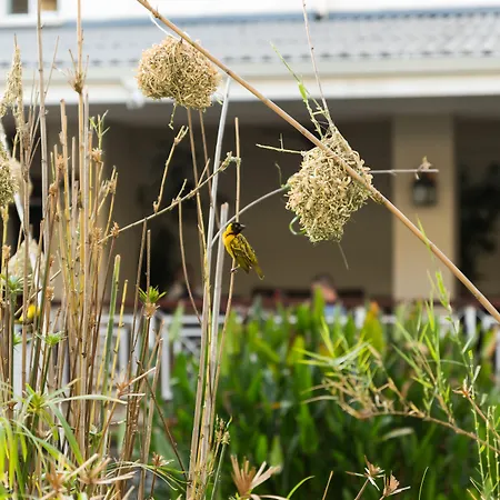 Southern Sun Ridgeway Lusaka-3