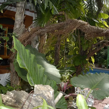 Eco-hotel El Rey del Caribe-2