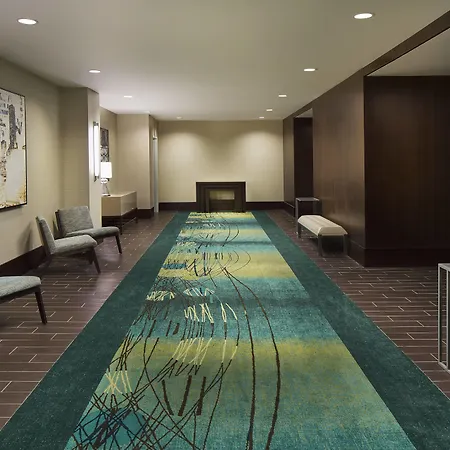 Springhill Suites By Marriott Houston Downtown/Convention Center-2