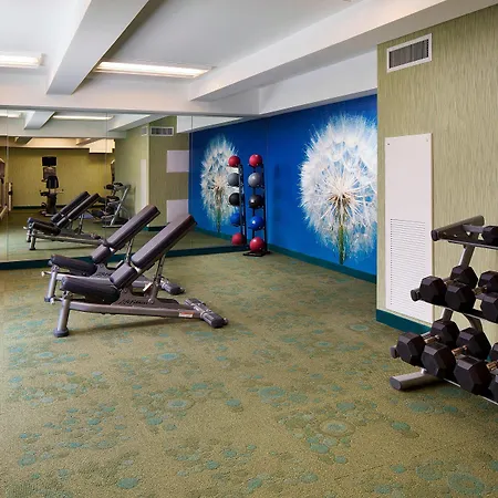 Springhill Suites By Marriott Houston Downtown/Convention Center-3