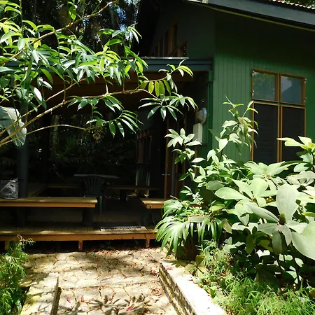 Rainforest Eco Lodge-3