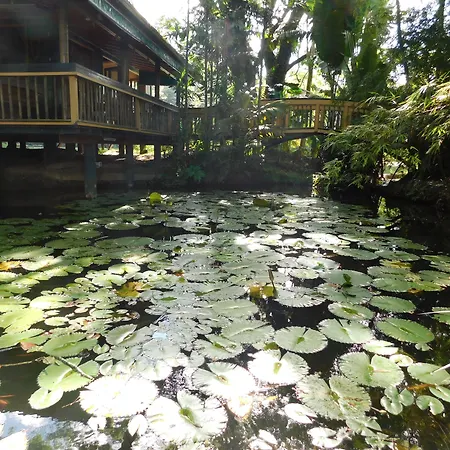 Rainforest Eco Lodge-3